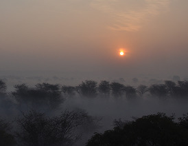 Východ slunce v zimě, pohoří Aravalli, Indie, 29.1.2011 / autor: Sabyasachi Dasgupta, licence: CC-BY-SA-3.0